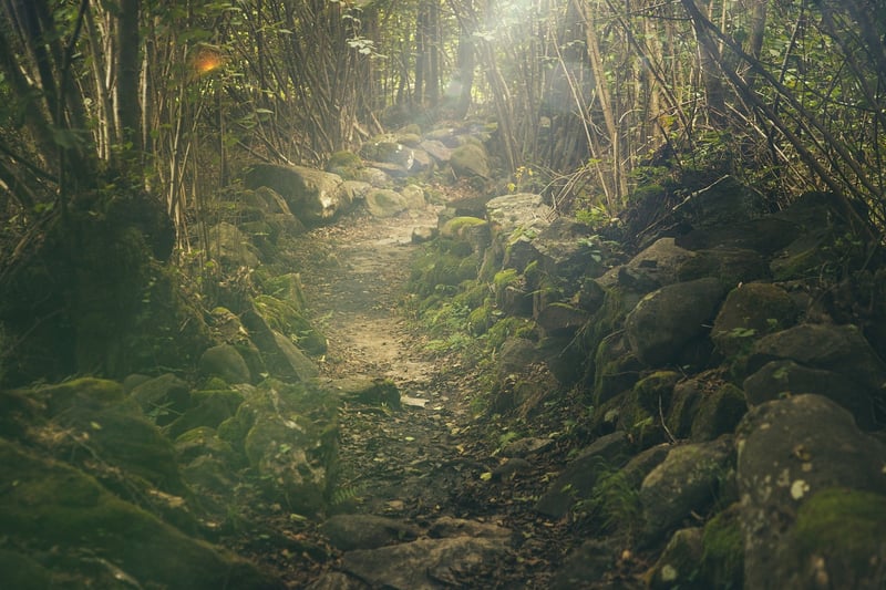 Forest-inspired Accents