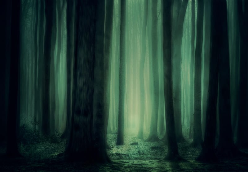Enchanted Grove Gardens
